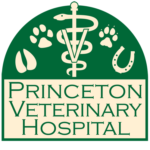 PrincetonVet logo full size